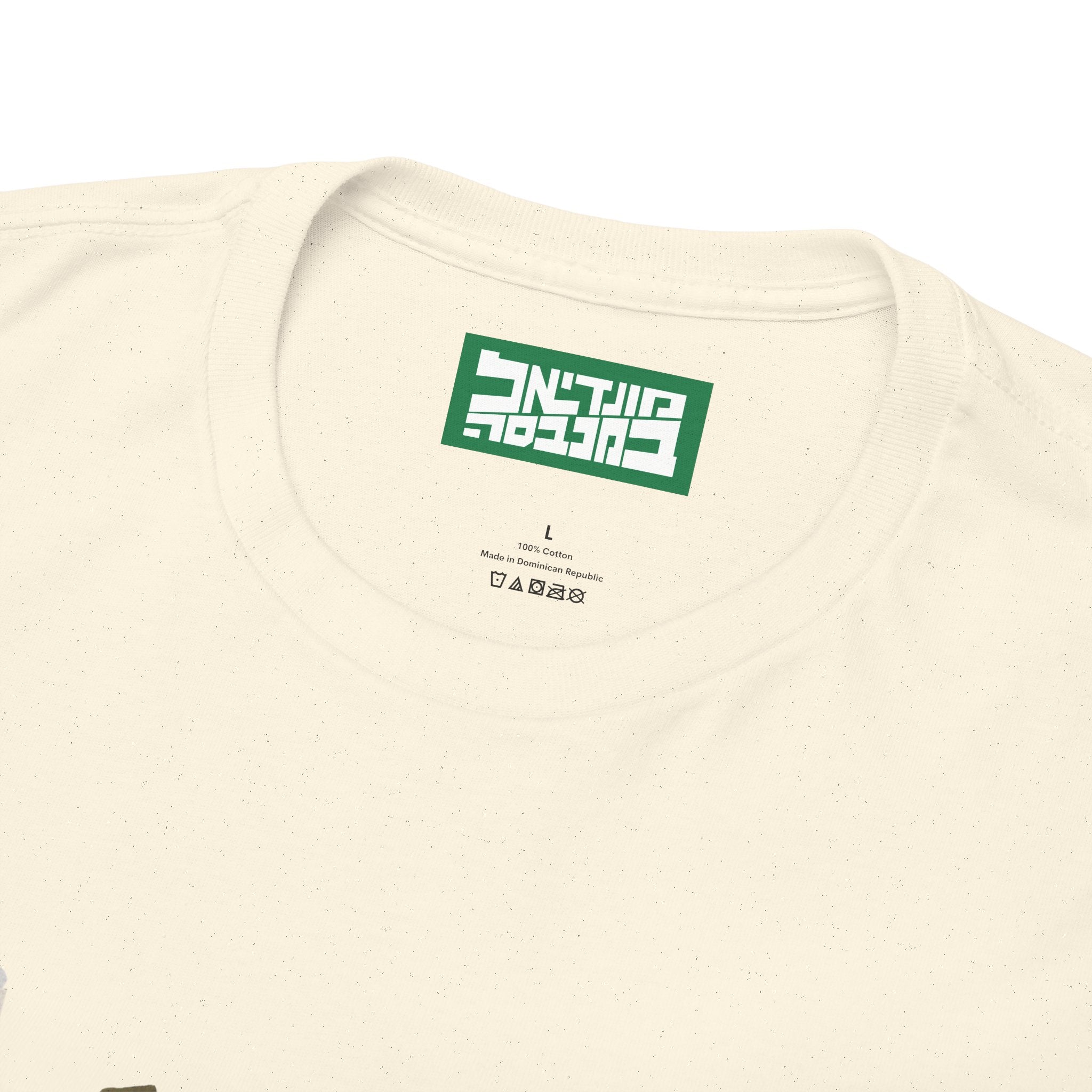 Unisex Heavy Cotton Tee - Van Persie