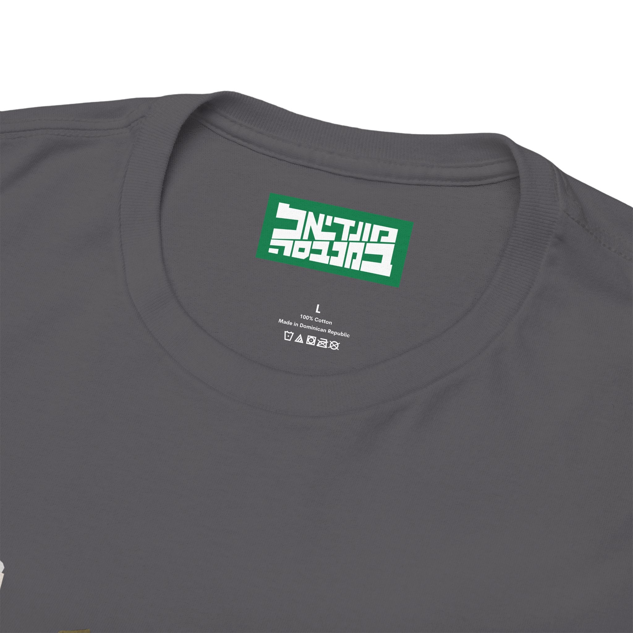 Unisex Heavy Cotton Tee - Van Persie